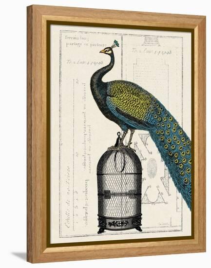 Peacock Birdcage II-Hugo Wild-Framed Stretched Canvas