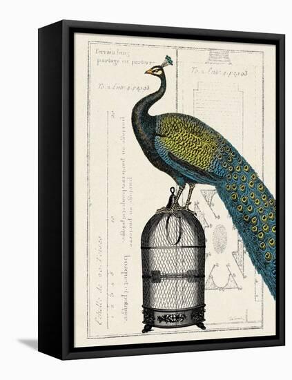 Peacock Birdcage II-Hugo Wild-Framed Stretched Canvas