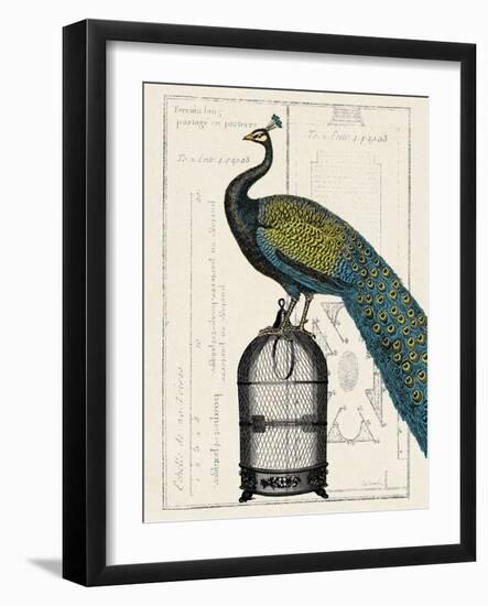 Peacock Birdcage II-Hugo Wild-Framed Art Print