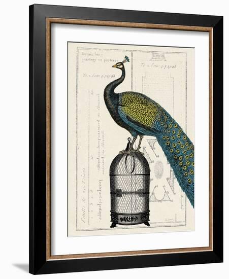 Peacock Birdcage II-Hugo Wild-Framed Art Print