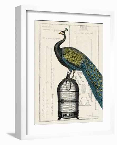 Peacock Birdcage II-Hugo Wild-Framed Art Print