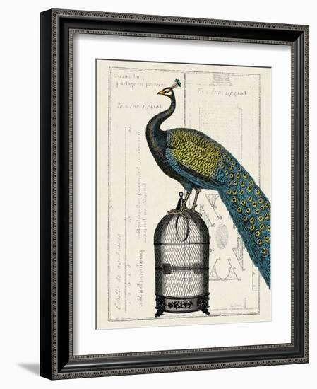 Peacock Birdcage II-Hugo Wild-Framed Art Print