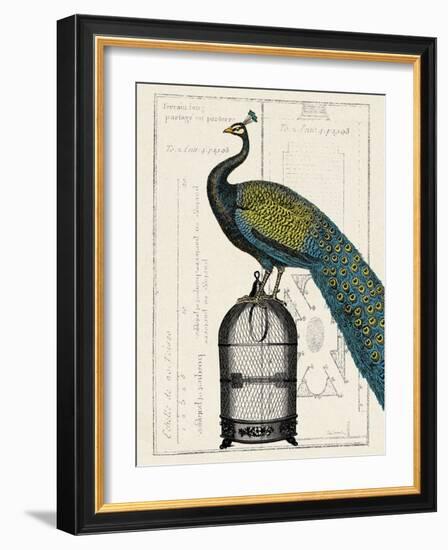 Peacock Birdcage II-Hugo Wild-Framed Art Print