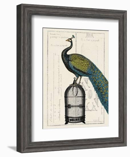 Peacock Birdcage II-Hugo Wild-Framed Art Print