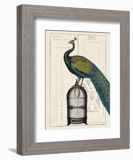 Peacock Birdcage II-Hugo Wild-Framed Art Print