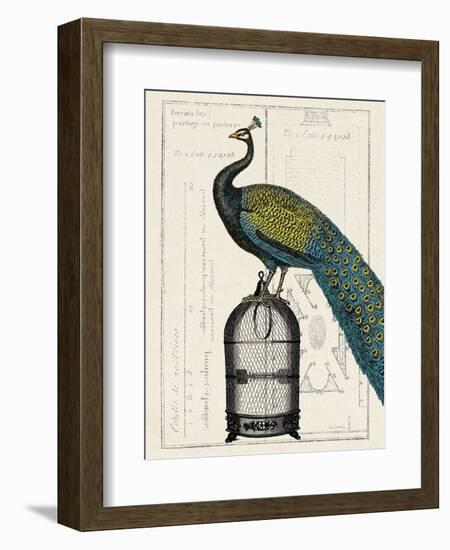 Peacock Birdcage II-Hugo Wild-Framed Art Print