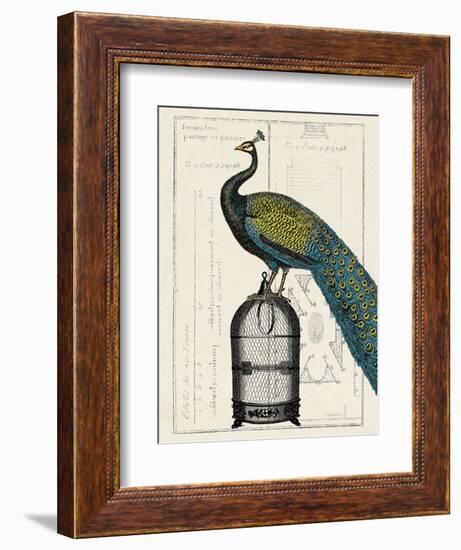 Peacock Birdcage II-Hugo Wild-Framed Art Print