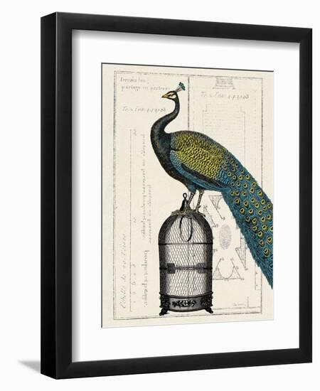 Peacock Birdcage II-Hugo Wild-Framed Art Print