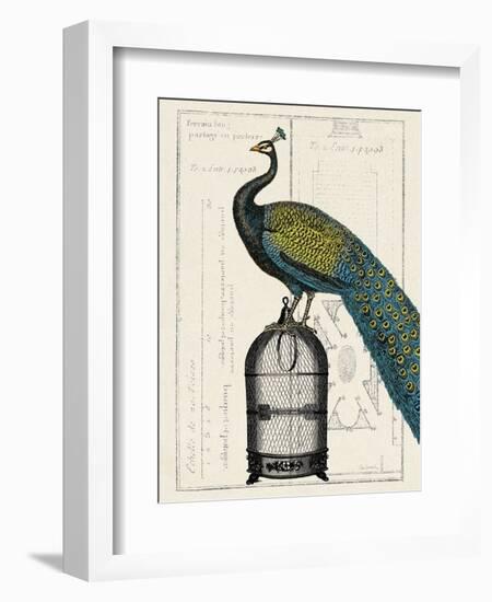 Peacock Birdcage II-Hugo Wild-Framed Art Print