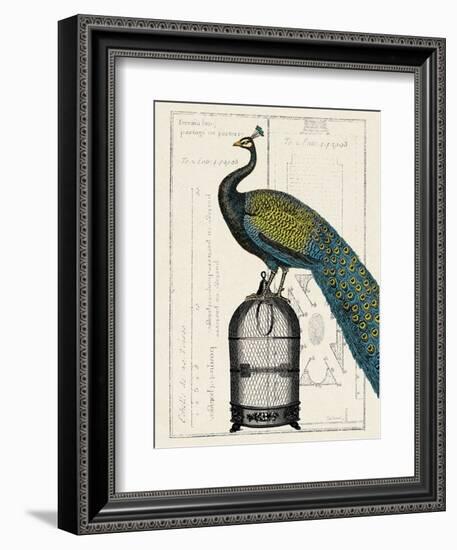 Peacock Birdcage II-Hugo Wild-Framed Art Print