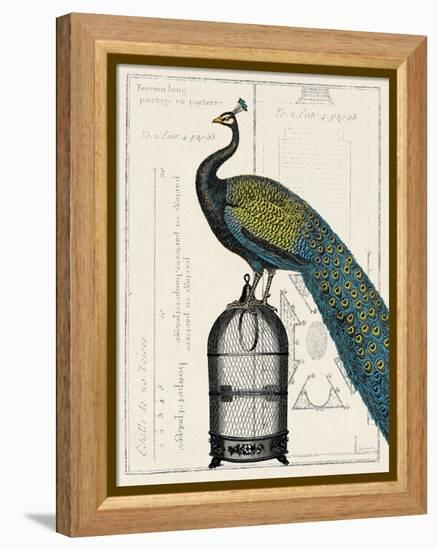 Peacock Birdcage II-null-Framed Stretched Canvas