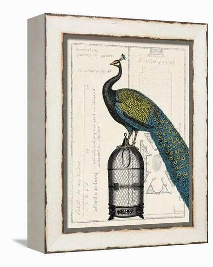 Peacock Birdcage II-null-Framed Stretched Canvas