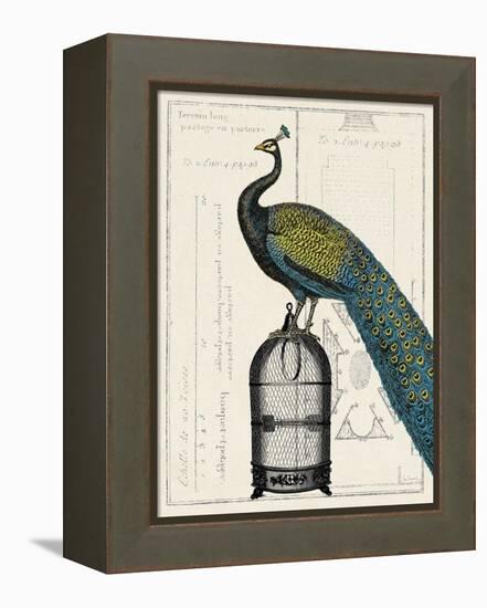 Peacock Birdcage II-null-Framed Stretched Canvas