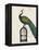 Peacock Birdcage II-null-Framed Stretched Canvas