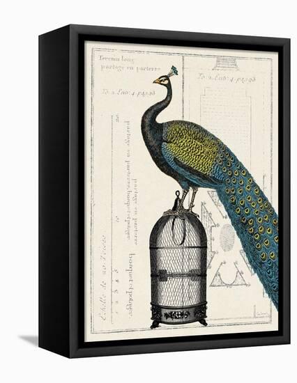 Peacock Birdcage II-null-Framed Stretched Canvas