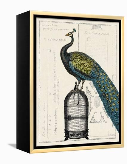 Peacock Birdcage II-null-Framed Stretched Canvas