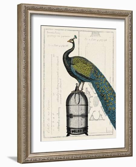 Peacock Birdcage II-null-Framed Art Print