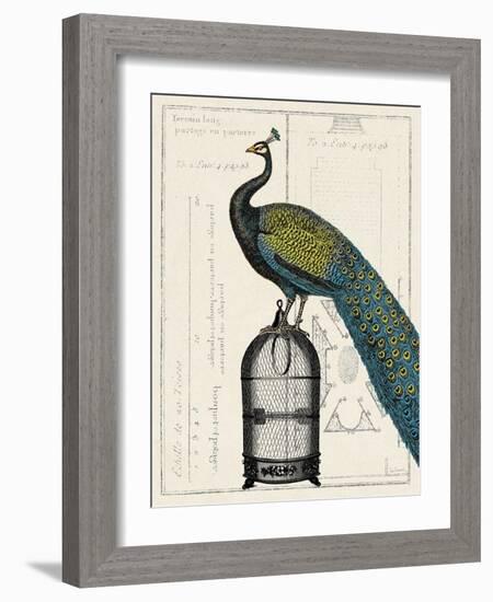 Peacock Birdcage II-null-Framed Art Print