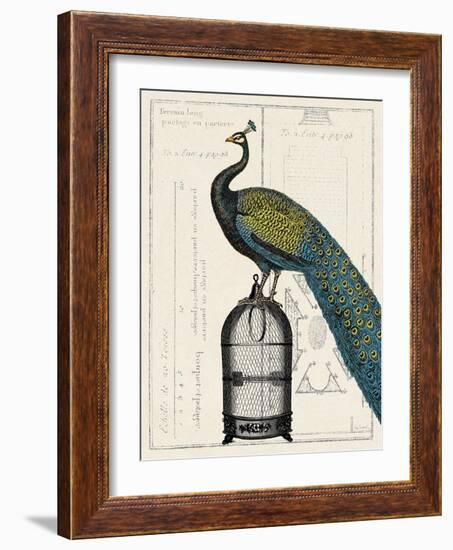 Peacock Birdcage II-null-Framed Art Print