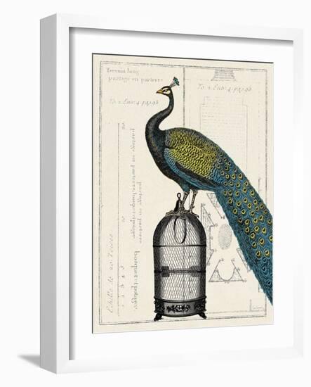 Peacock Birdcage II-null-Framed Art Print