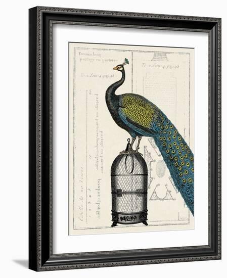 Peacock Birdcage II-null-Framed Art Print