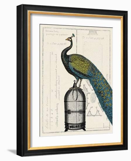 Peacock Birdcage II-null-Framed Art Print