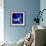 Peacock Blue, 2013-Nancy Moniz-Framed Giclee Print displayed on a wall