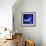 Peacock Blue, 2013-Nancy Moniz-Framed Giclee Print displayed on a wall