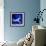 Peacock Blue, 2013-Nancy Moniz-Framed Giclee Print displayed on a wall