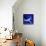 Peacock Blue, 2013-Nancy Moniz-Mounted Giclee Print displayed on a wall