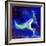 Peacock Blue, 2013-Nancy Moniz-Framed Giclee Print