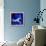 Peacock Blue, 2013-Nancy Moniz-Framed Premier Image Canvas displayed on a wall