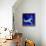 Peacock Blue, 2013-Nancy Moniz-Framed Premier Image Canvas displayed on a wall