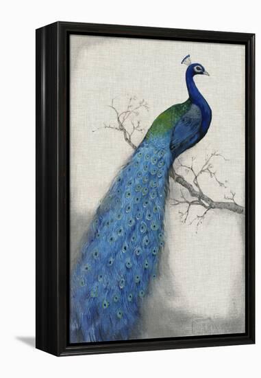 Peacock Blue I-Tim O'toole-Framed Stretched Canvas