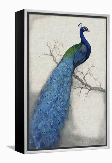 Peacock Blue I-Tim O'toole-Framed Stretched Canvas