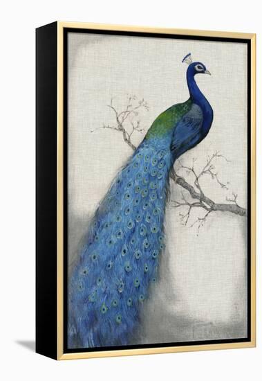 Peacock Blue I-Tim O'toole-Framed Stretched Canvas