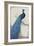 Peacock Blue I-Tim O'toole-Framed Premium Giclee Print