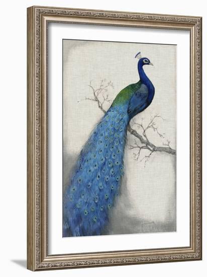 Peacock Blue I-Tim O'toole-Framed Premium Giclee Print
