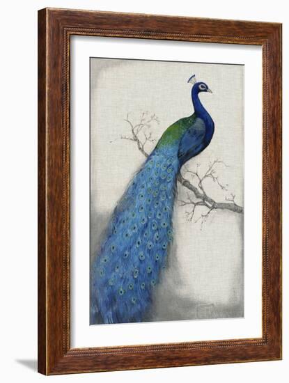 Peacock Blue I-Tim O'toole-Framed Premium Giclee Print