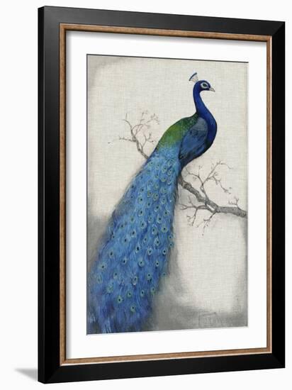 Peacock Blue I-Tim O'toole-Framed Premium Giclee Print