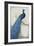 Peacock Blue I-Tim O'toole-Framed Premium Giclee Print