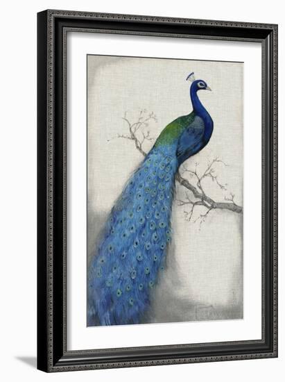 Peacock Blue I-Tim O'toole-Framed Premium Giclee Print