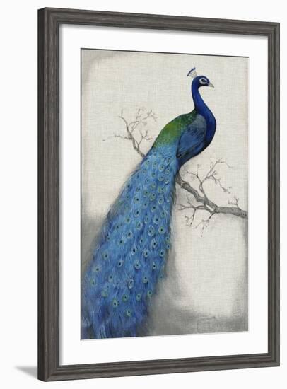 Peacock Blue I-Tim O'toole-Framed Art Print