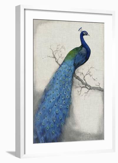 Peacock Blue I-Tim O'toole-Framed Art Print