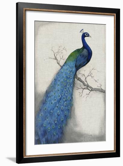 Peacock Blue I-Tim O'toole-Framed Art Print