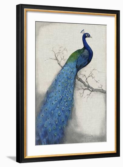 Peacock Blue I-Tim O'toole-Framed Art Print