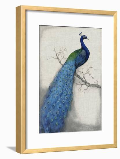 Peacock Blue I-Tim O'toole-Framed Art Print