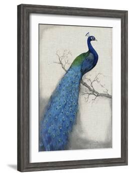 Peacock Blue I-Tim O'toole-Framed Art Print