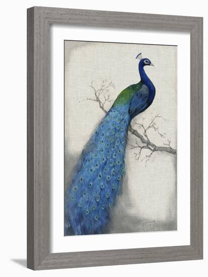 Peacock Blue I-Tim O'toole-Framed Art Print