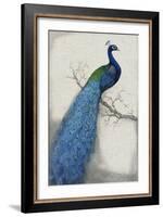 Peacock Blue I-Tim O'toole-Framed Art Print